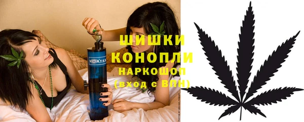spice Аркадак
