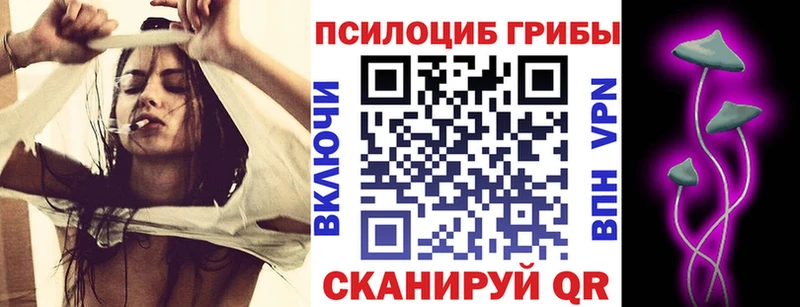 Псилоцибиновые грибы Cubensis  Сортавала 